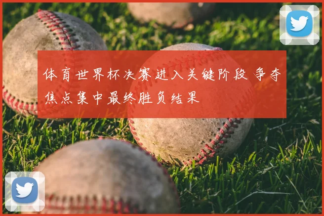 体育世界杯决赛进入关键阶段 争夺焦点集中最终胜负结果