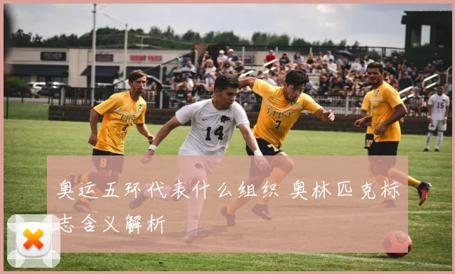 奥运五环代表什么组织 奥林匹克标志含义解析