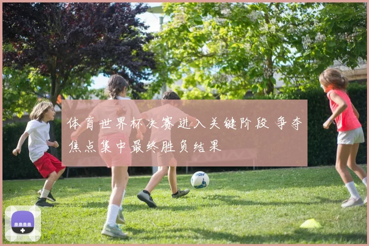 体育世界杯决赛进入关键阶段 争夺焦点集中最终胜负结果